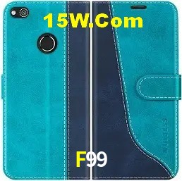 Login Seguro F99